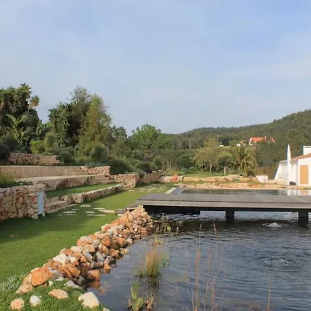 Quinta Javali