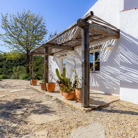 Quinta Javali *