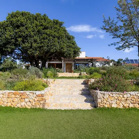Quinta Javali